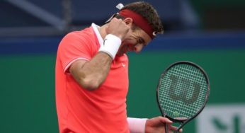 Masters in Shanghai: “Delpo” has to give up after crash against Coric