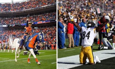 NFL: Denver Broncos - Pittsburgh Steelers free livestream!
