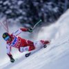 Alpine skiing: deer beaten! Luitz wins giant slalom in Beaver Creek